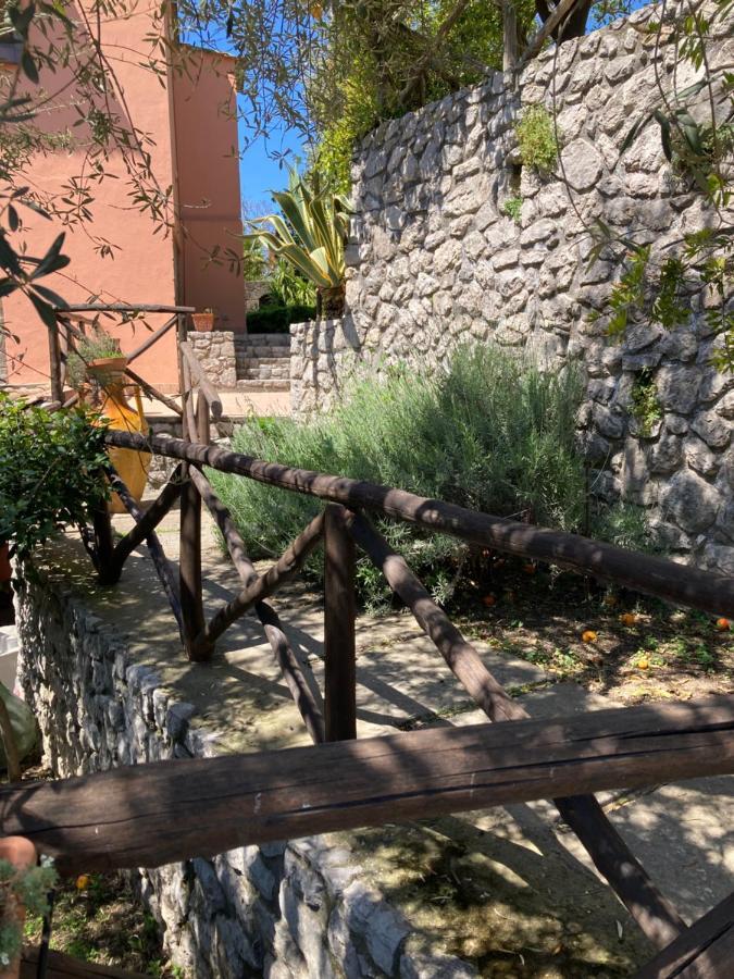 Agriturismo Nonno Luigino فيكو إيكوينس المظهر الخارجي الصورة