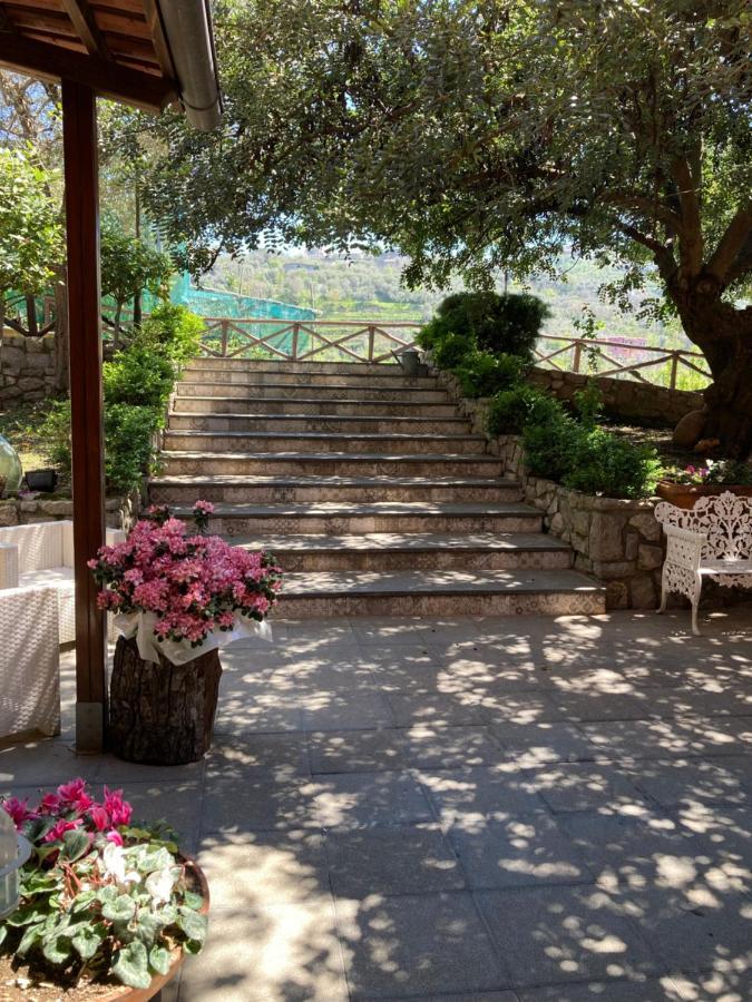 Agriturismo Nonno Luigino فيكو إيكوينس المظهر الخارجي الصورة