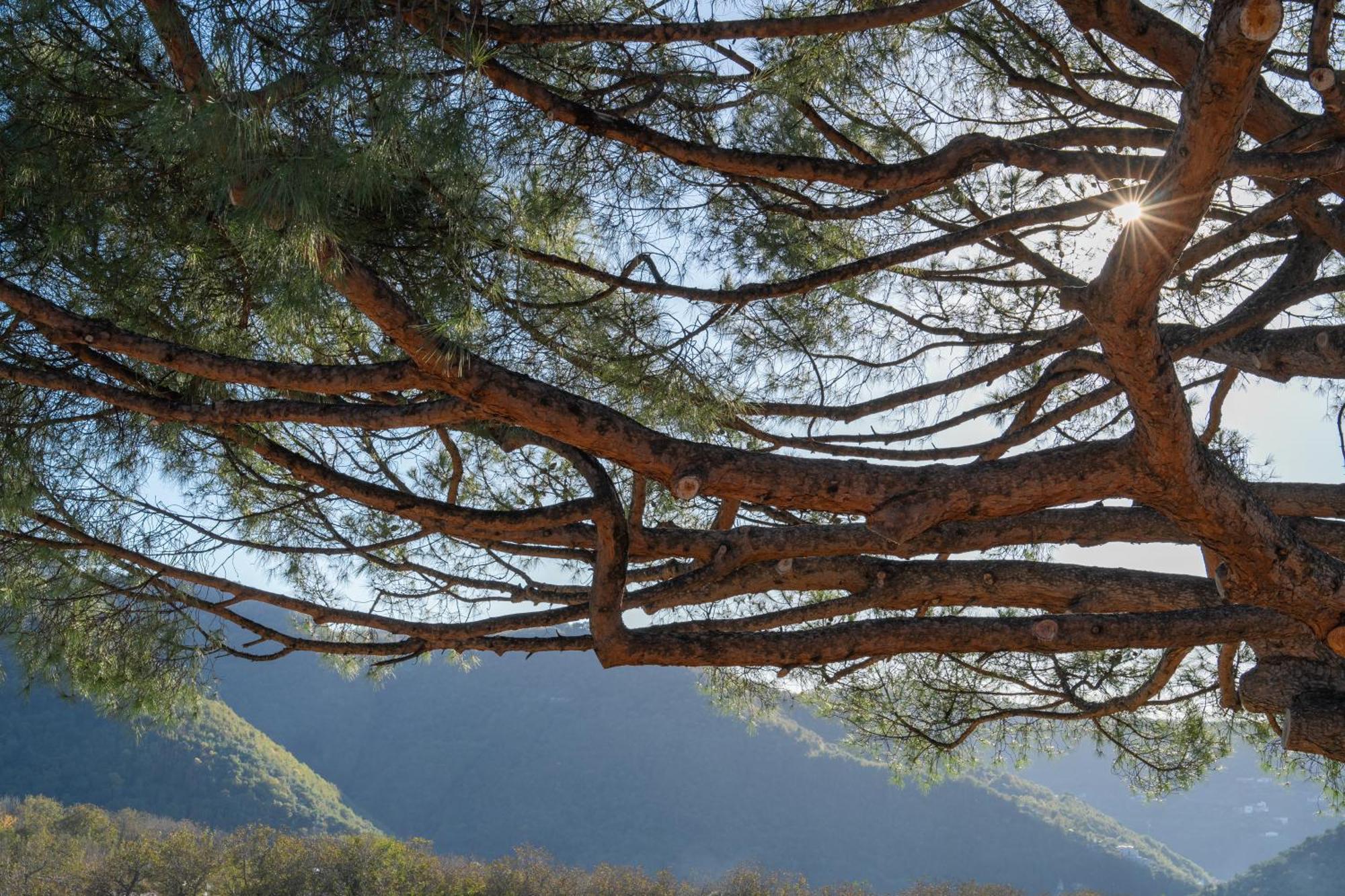 Agriturismo Nonno Luigino فيكو إيكوينس المظهر الخارجي الصورة