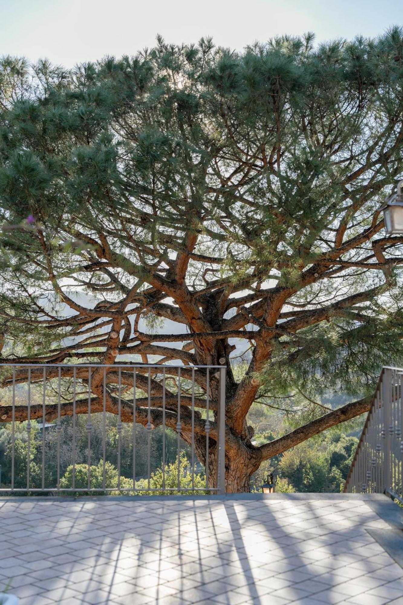 Agriturismo Nonno Luigino فيكو إيكوينس المظهر الخارجي الصورة