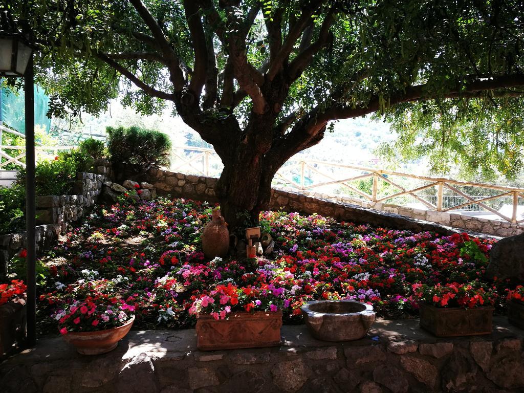 Agriturismo Nonno Luigino فيكو إيكوينس المظهر الخارجي الصورة